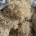 竹茹竹茹球竹茹丝另有竹茹丝干净无杂质实拍有视频
