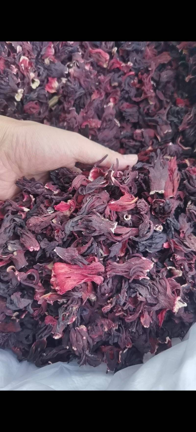 云南洛神花洛神花茶干花玫瑰茄玫瑰茄茶进口非洲大货批发