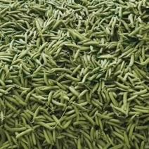 【推荐】豌豆大量供货一手货源价格欢迎致电详谈