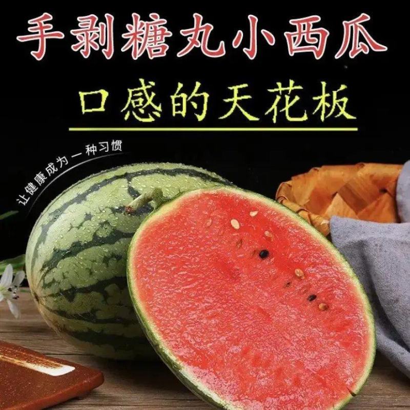 吊兰西瓜小糖丸西瓜全美2K早春红玉供应全国档口商超社团电