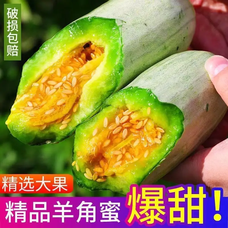 羊角蜜甜瓜脆甜可口产地直发品质保证欢迎看货可视频