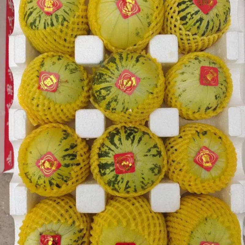 花蕾甜瓜花姑娘甜瓜新姑娘甜瓜皮溥甜香希望全国各地前来采购