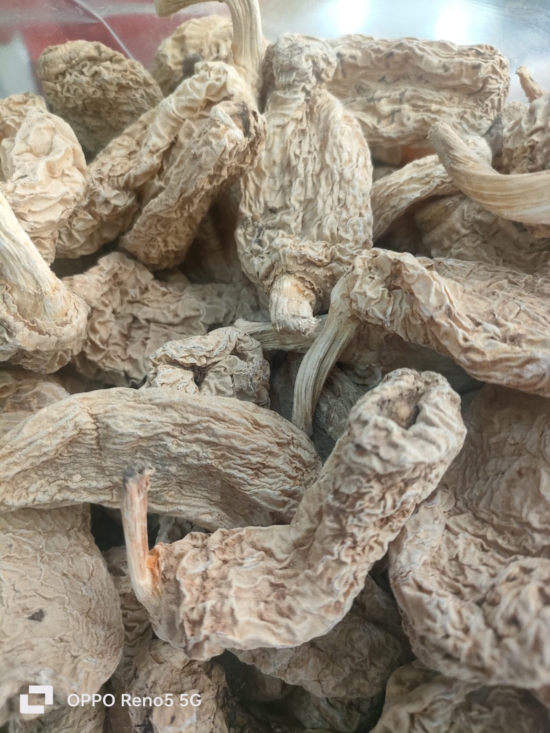 干天麻大量供应，货源充足，对接全国客户欢迎咨询验货