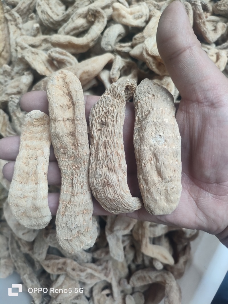 干天麻大量供应，货源充足，对接全国客户欢迎咨询验货
