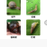 蜗牛药80%四聚乙醛粉剂杀螺灭鼻涕虫福寿螺蛞蝓内含引诱剂