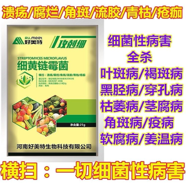 细黄链霉菌溃疡腐烂角斑疮痂细菌性病害