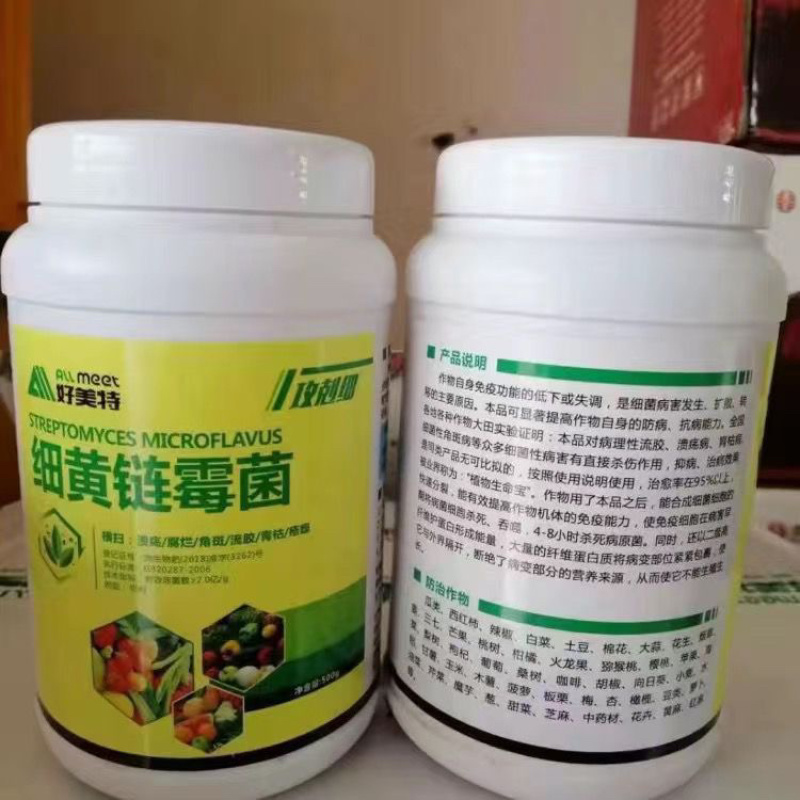 细黄链霉菌溃疡腐烂角斑疮痂细菌性病害
