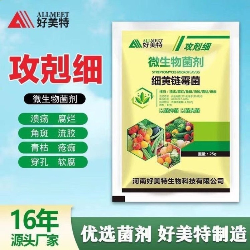 细黄链霉菌溃疡腐烂角斑疮痂细菌性病害