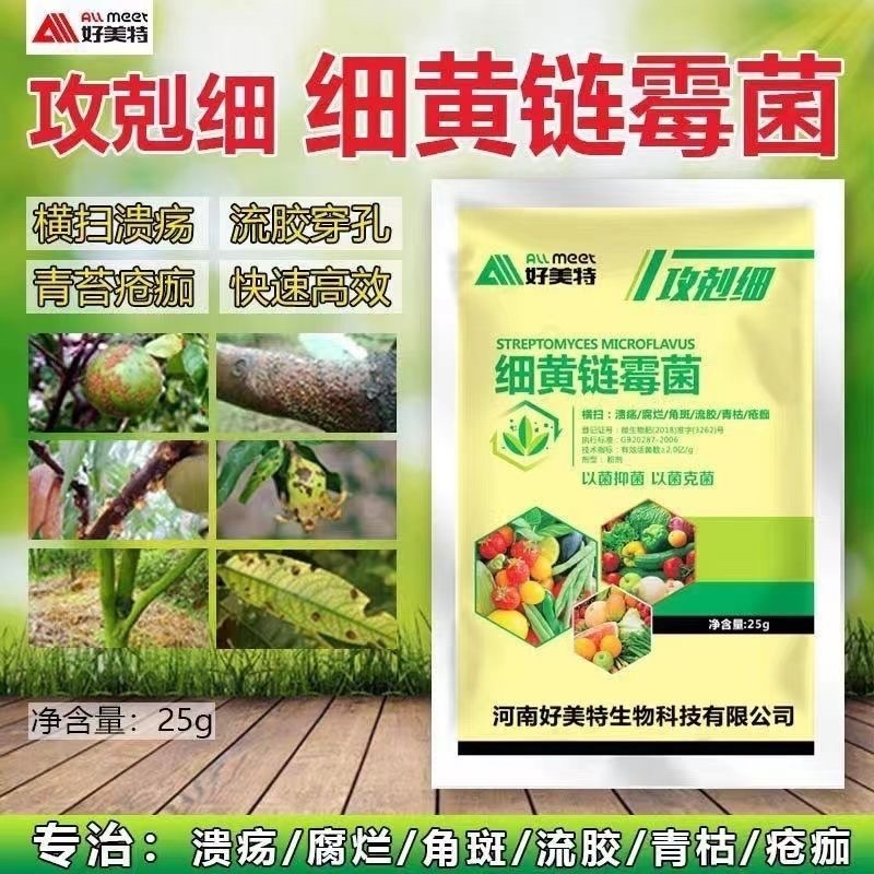 细黄链霉菌溃疡腐烂角斑疮痂细菌性病害