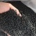 喷浆包膜颗矿源黄腐酸钾微生物菌剂生根防病调理土壤增加肥效
