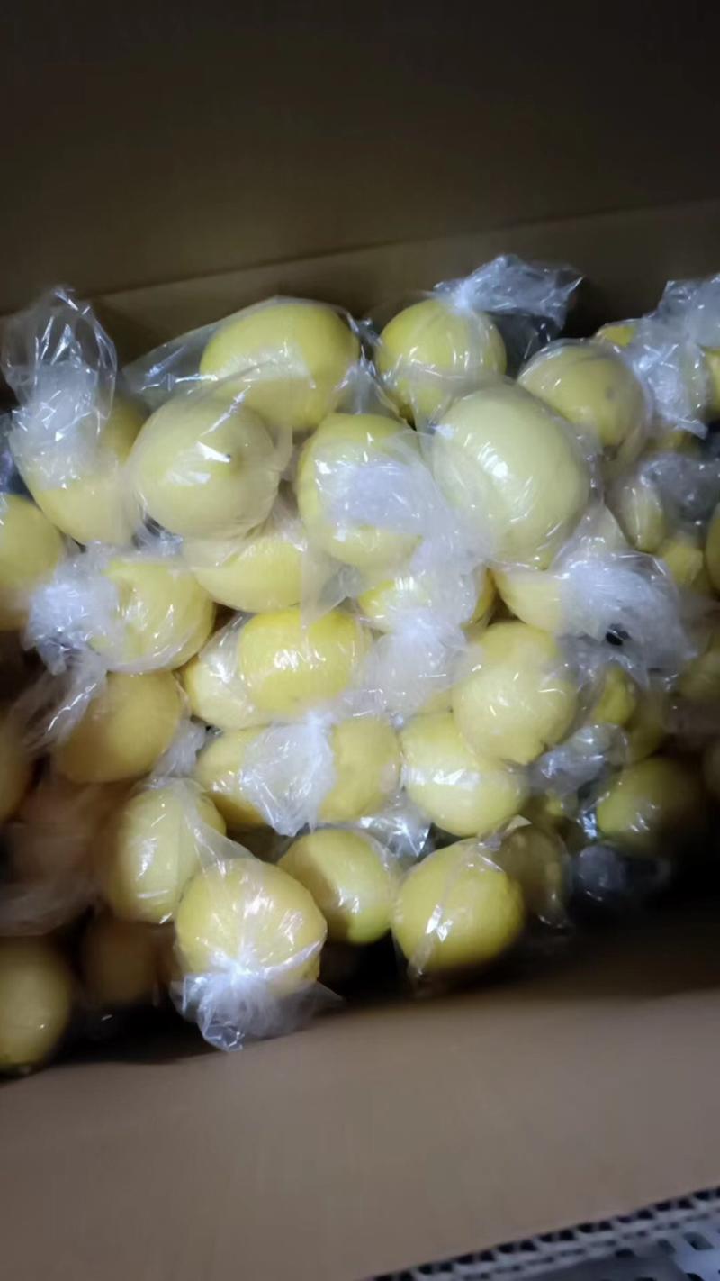 精品柠檬四川柠檬货源量大从优质量保证欢迎咨询