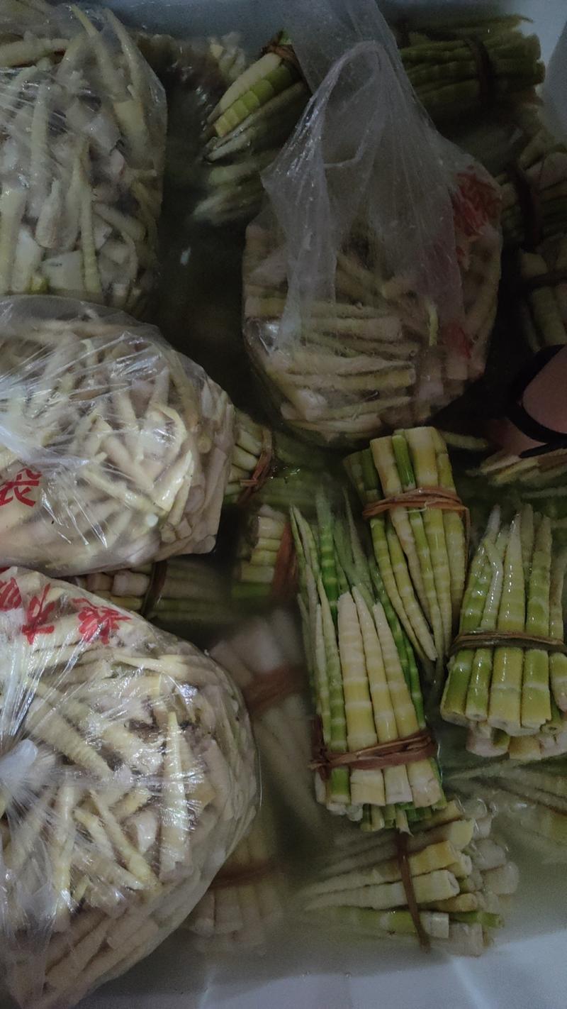 [热卖]陕西汉中水竹笋新鲜上市量大从优欢迎洽谈合作