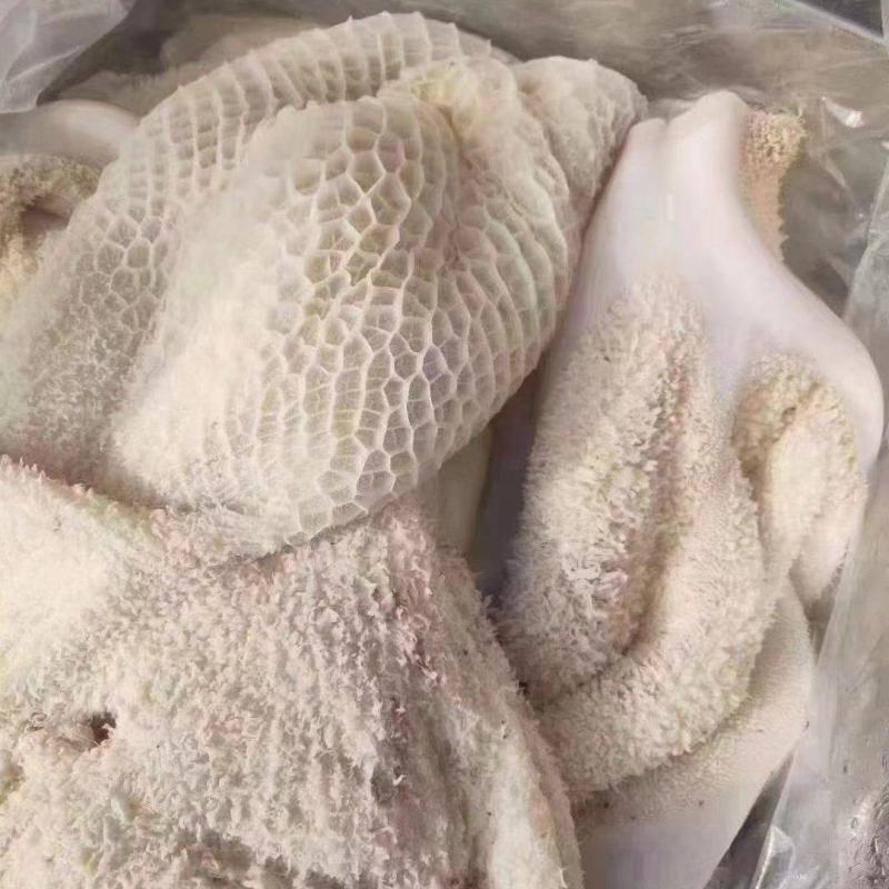 牛肚。半成品牛肚，全熟牛肚都有现货。批发价