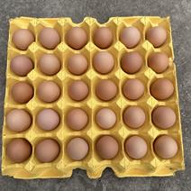 土鸡蛋，双色新杨黑小凤土鸡蛋，四川省土鸡蛋，