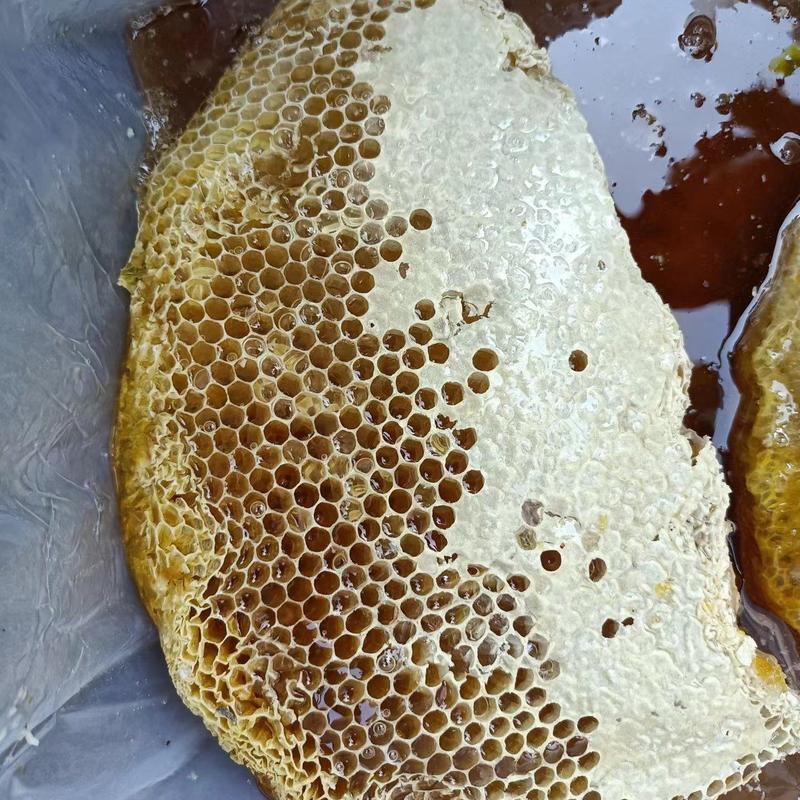 精品野蜂蜜供应，海南产地直发，新鲜采蜜，量大从优批发零售