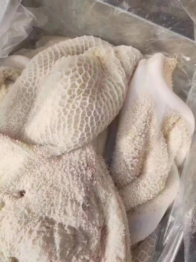 牛肚。半成品牛肚，全熟牛肚都有现货。批发价