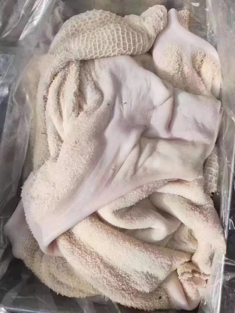 牛肚。半成品牛肚，全熟牛肚都有现货。批发价