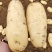 新土豆大量供应,大棚土豆黄皮黄瓤,全国发货,山东肥城土豆