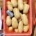 新土豆大量供应,大棚土豆黄皮黄瓤,全国发货,山东肥城土豆