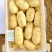 新土豆大量供应,大棚土豆黄皮黄瓤,全国发货,山东肥城土豆