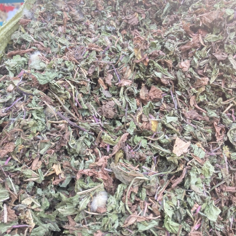 蒲公英实物拍摄需要的下单货联系价格可优惠