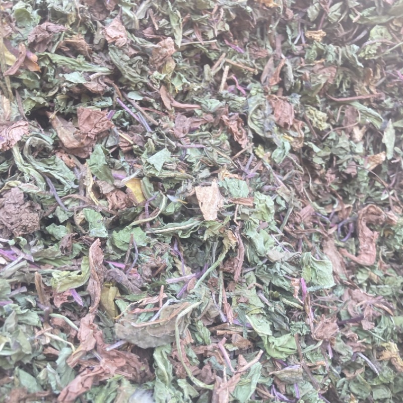 蒲公英实物拍摄需要的下单货联系价格可优惠