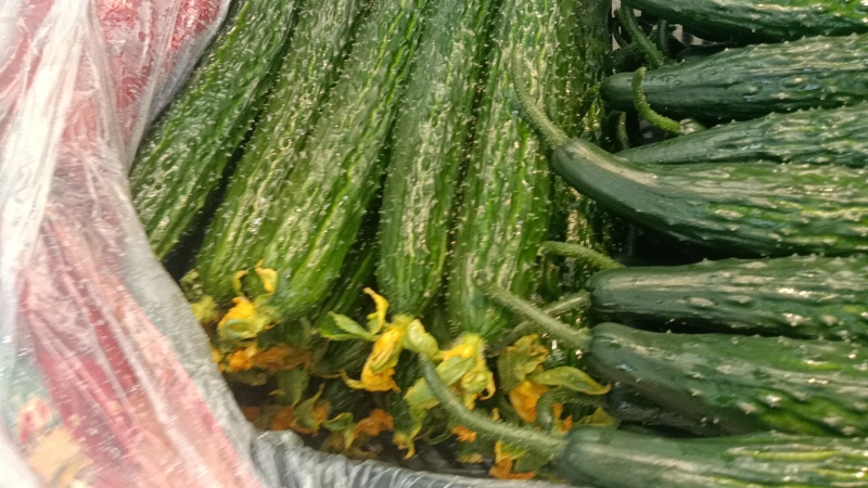 黄瓜精品密刺黄瓜产地直销一手货源欢迎采购