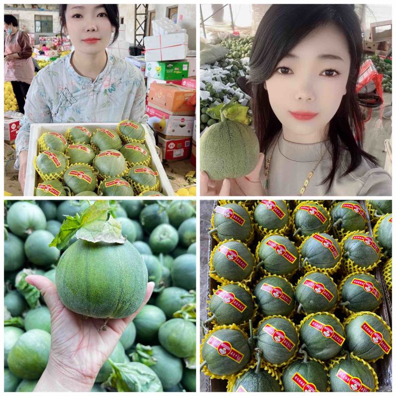 山东绿宝甜瓜，对接电商平台，各种团购，商超档口，诚信经营