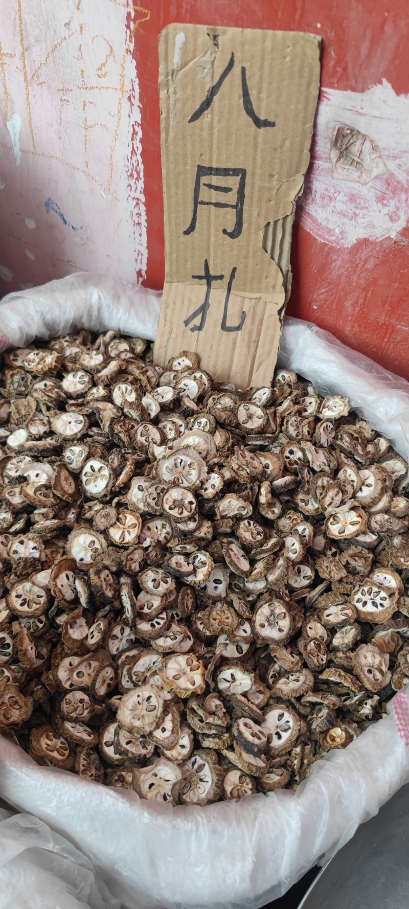 八月扎一手货源欢迎电话咨询。
