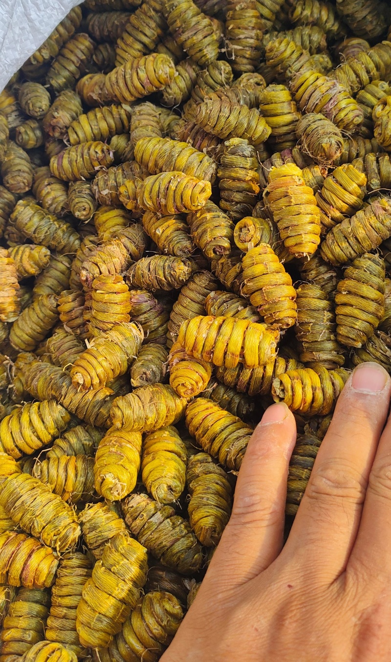 铁皮石斛大枫斗，精品高质量好货！！！！！！！