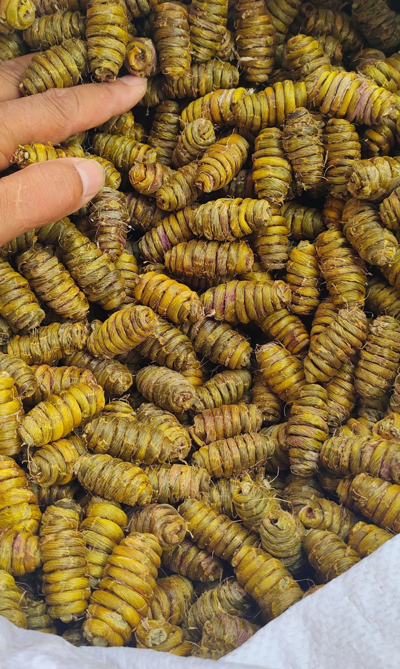 铁皮石斛大枫斗，精品高质量好货！！！！！！！