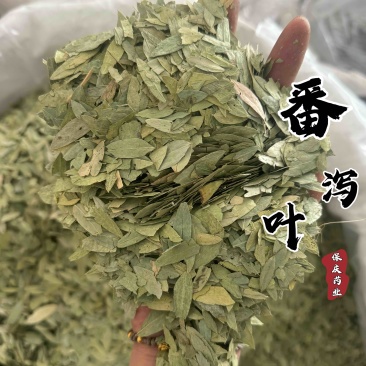 泻叶泄叶番泻叶保庆药业批发发货前过筛颜色青