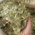 泻叶泄叶番泻叶保庆药业批发发货前过筛颜色青