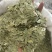 泻叶泄叶番泻叶保庆药业批发发货前过筛颜色青