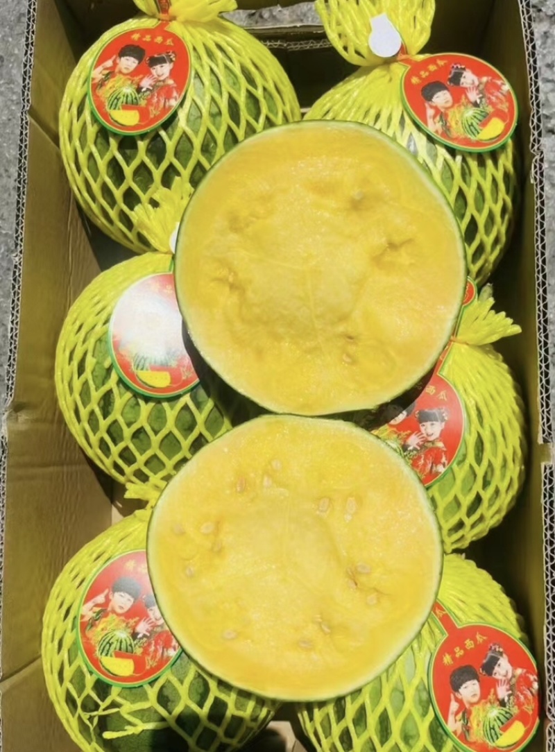 特小凤西瓜-量大从优-价格优惠-回购率超高