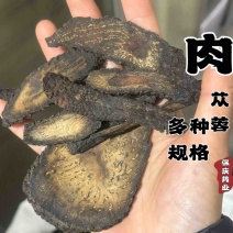 肉纵容肉苁蓉肉大芸软大芸硬大芸肉苁蓉片软肉苁蓉