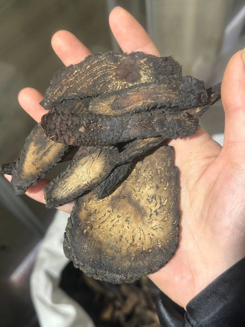 肉纵容肉苁蓉肉大芸软大芸硬大芸肉苁蓉片软肉苁蓉