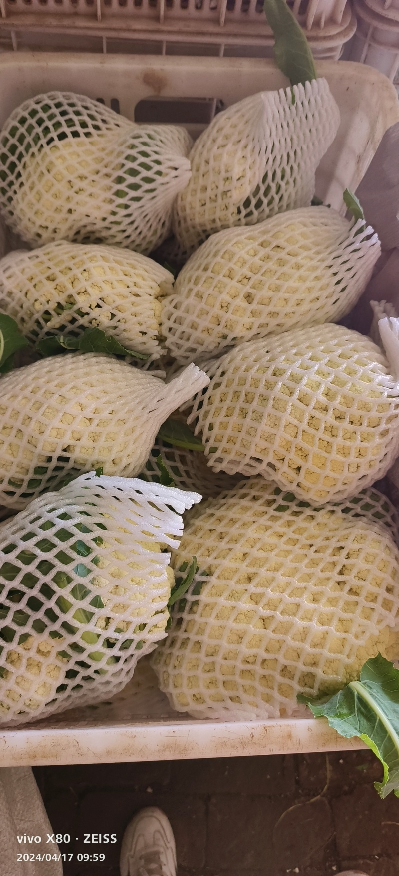有机花大量供应，白面青梗，质量非常好，要的老板联系
