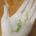 野生藤茶（莓茶）可议价
