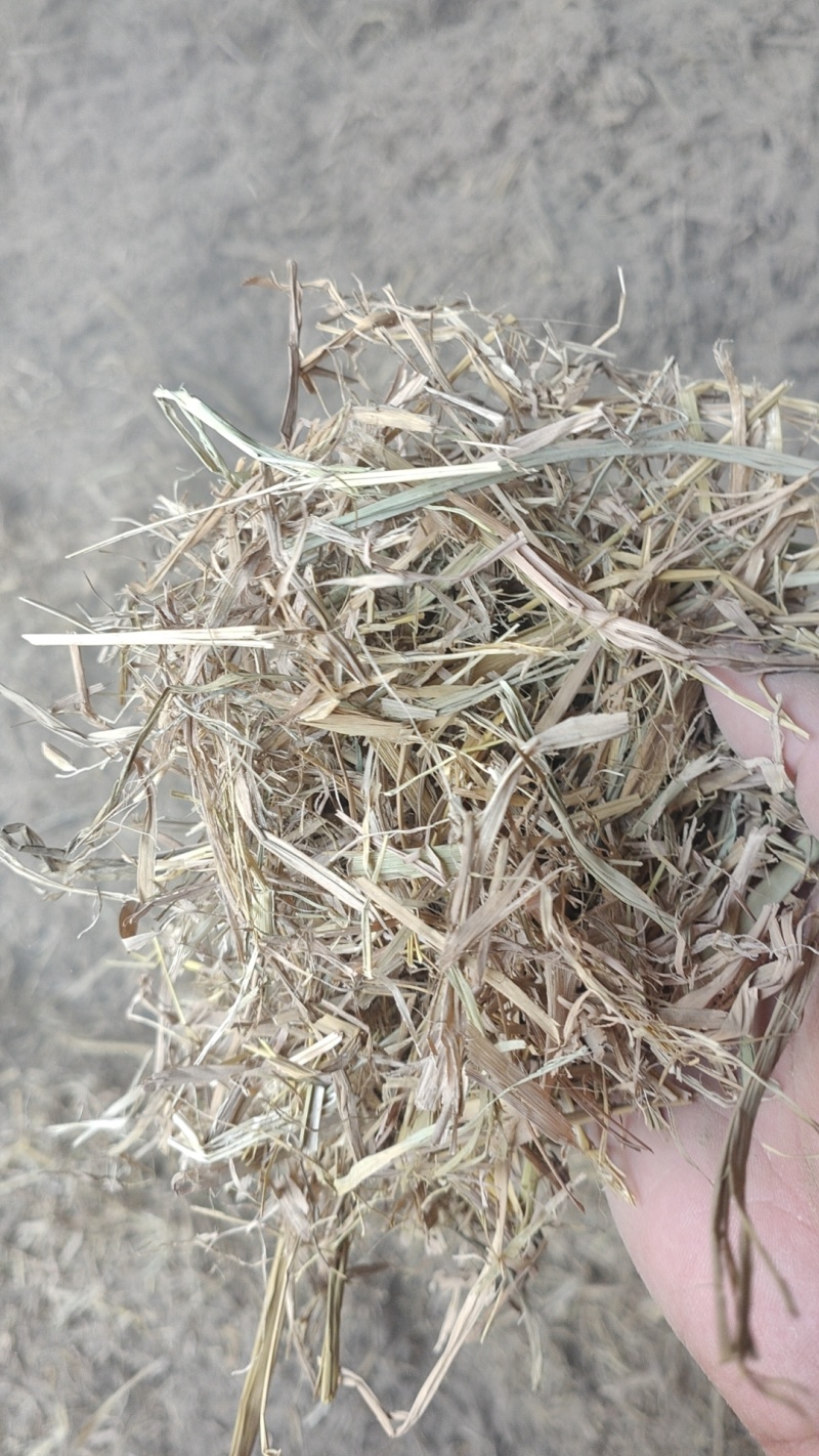 稻草扎断精品稻草过风选稻草