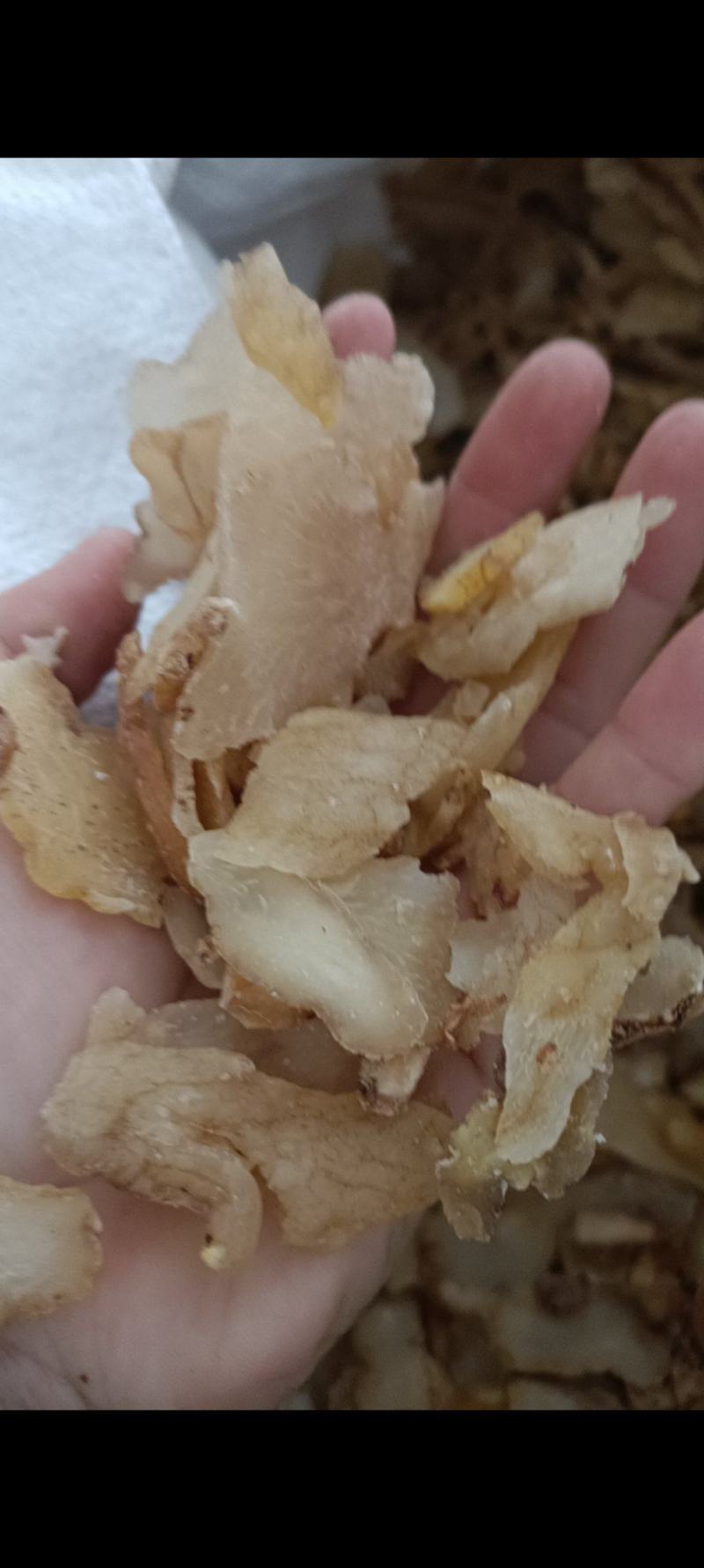 黄精，新货无硫干片，货源充足，产地直发，足斤足量