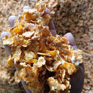 厂家现货玉米压片牛饲料宠物养殖料蒸汽熟化易吸收玉米芯