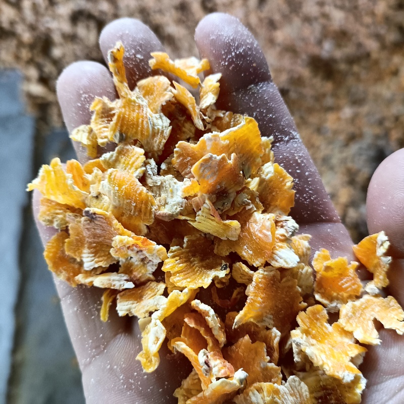 厂家现货玉米压片牛饲料宠物养殖料蒸汽熟化易吸收玉米芯