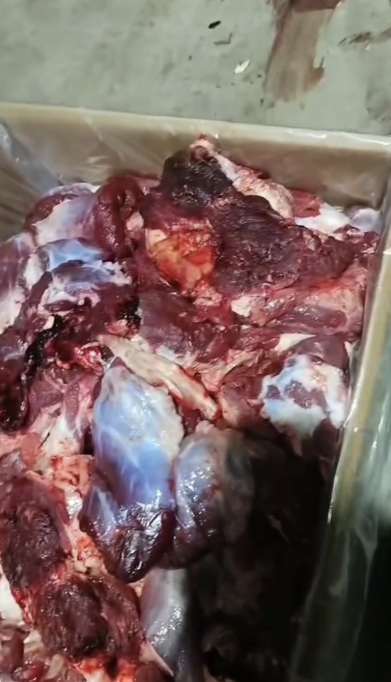 大块牛碎肉，牛坠肉，大量有货，欢迎各位老板咨询