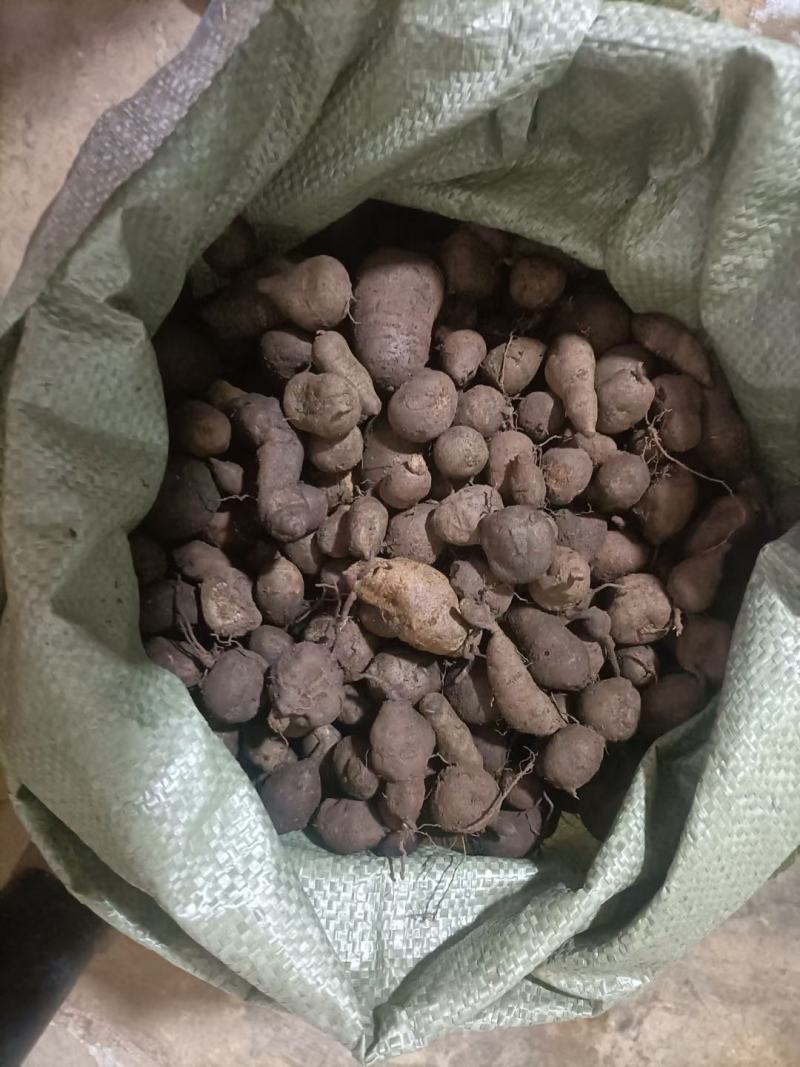 三叶青，干货包邮，