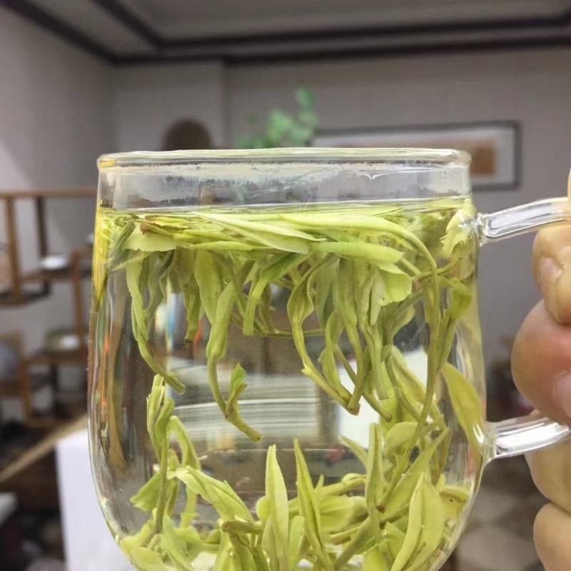 2024年安吉白茶包邮一斤