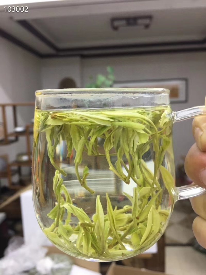 2024年安吉白茶包邮一斤