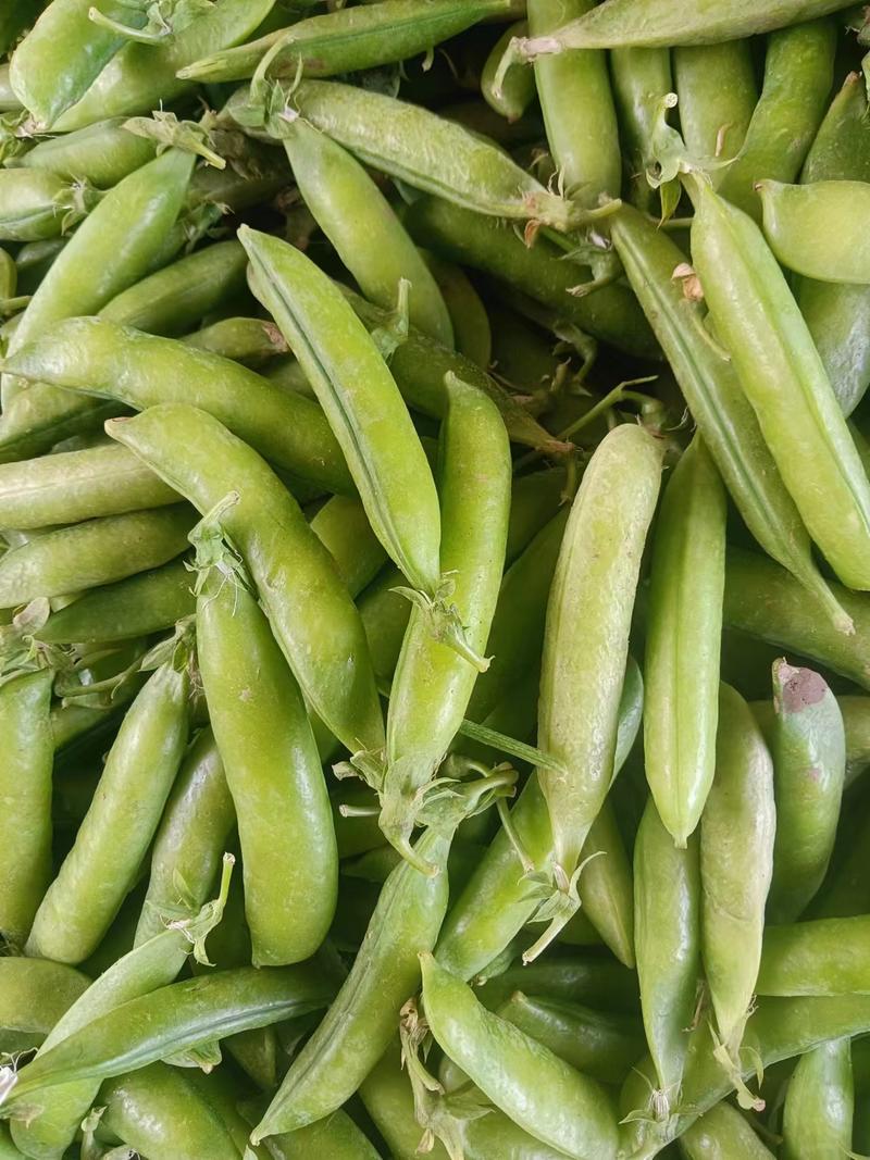 精品豌豆，产地一手货源量大从优支持任何包装