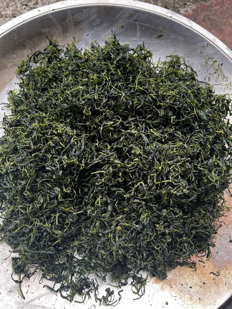 青山绿水小叶苦丁茶厂家直供价格实惠