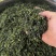 青山绿水小叶苦丁茶厂家直供价格实惠